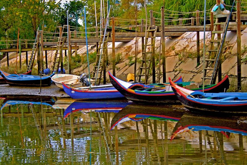 Tejo ribatejano (Escaroupim)