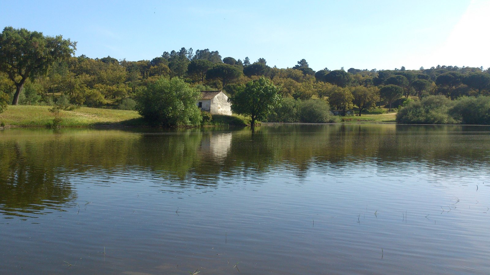 Montargil